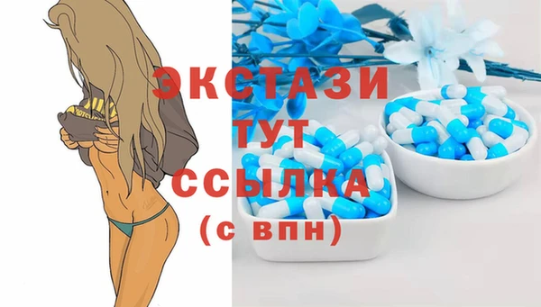 шишки Гусиноозёрск
