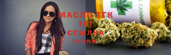 шишки Гусиноозёрск