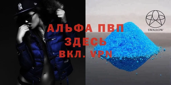 шишки Гусиноозёрск