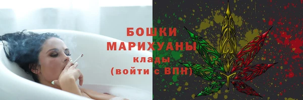 шишки Гусиноозёрск