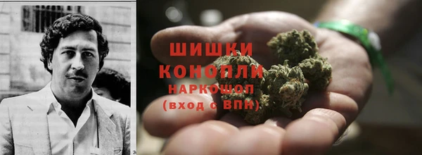 шишки Гусиноозёрск