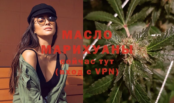 шишки Гусиноозёрск