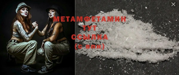 шишки Гусиноозёрск