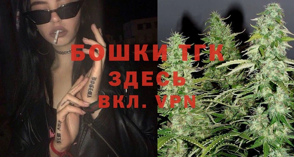 шишки Гусиноозёрск