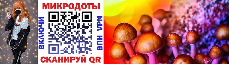 купить наркотики цена  Островной  Галлюциногенные грибы Magic Shrooms 
